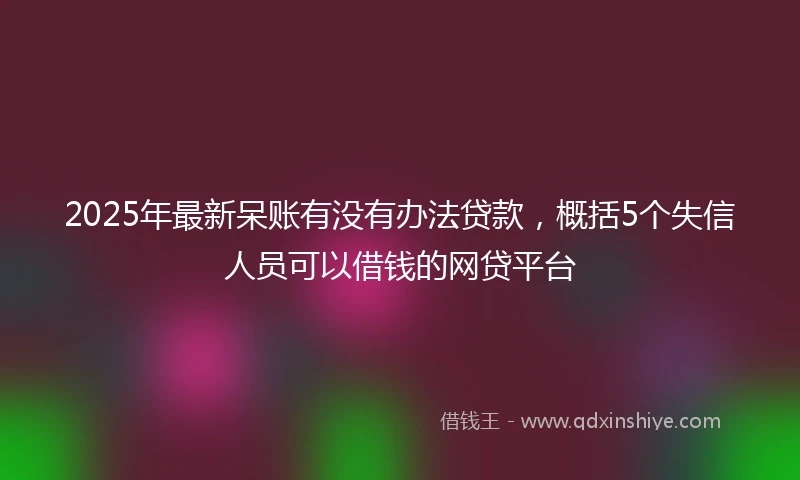 2025年最新呆账有没有办法贷款，概括5个失信人员可以借钱的网贷平台