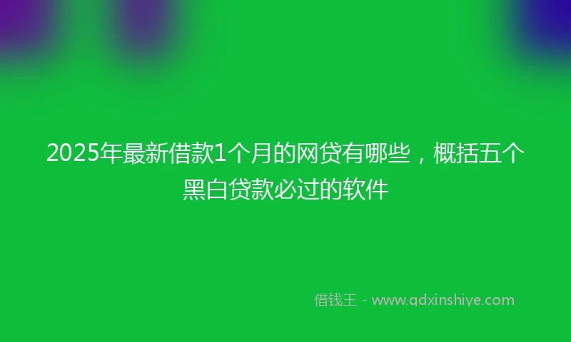 2025年最新借款1个月的网贷有哪些，概括五个黑白贷款必过的软件