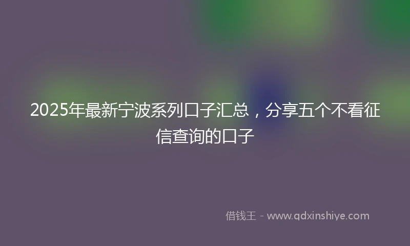 2025年最新宁波系列口子汇总，分享五个不看征信查询的口子