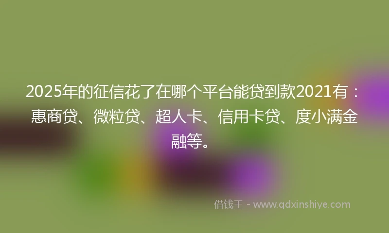 2025年的征信花了在哪个平台能贷到款2021有：惠商贷、微粒贷、超人卡、信用卡贷、度小满金融等。