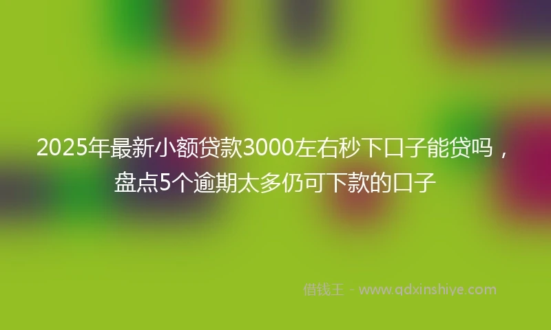 2025年最新小额贷款3000左右秒下口子能贷吗，盘点5个逾期太多仍可下款的口子