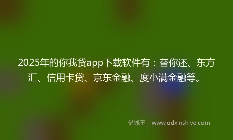 2025年的你我贷app下载软件有：替你还、东方汇、信用卡贷、京东金融、度小满金融等。