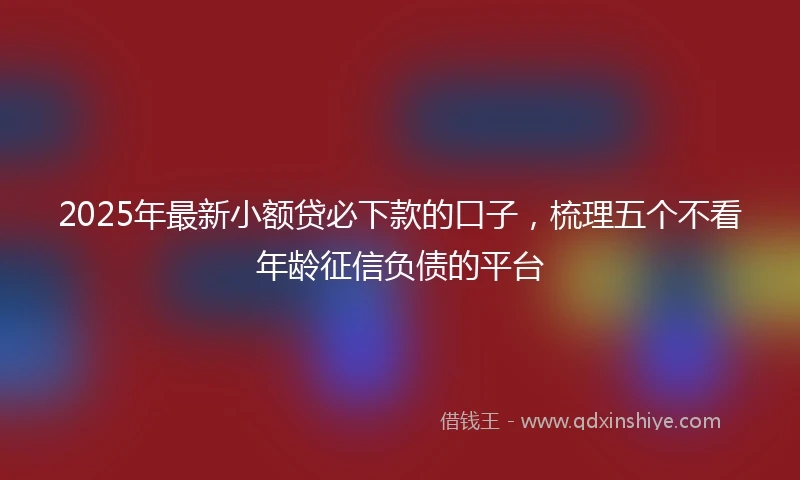 2025年最新小额贷必下款的口子，梳理五个不看年龄征信负债的平台