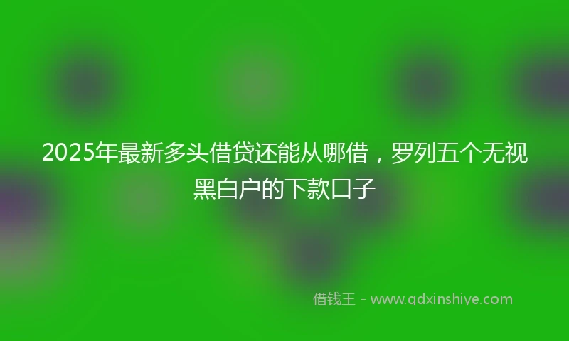 2025年最新多头借贷还能从哪借，罗列五个无视黑白户的下款口子