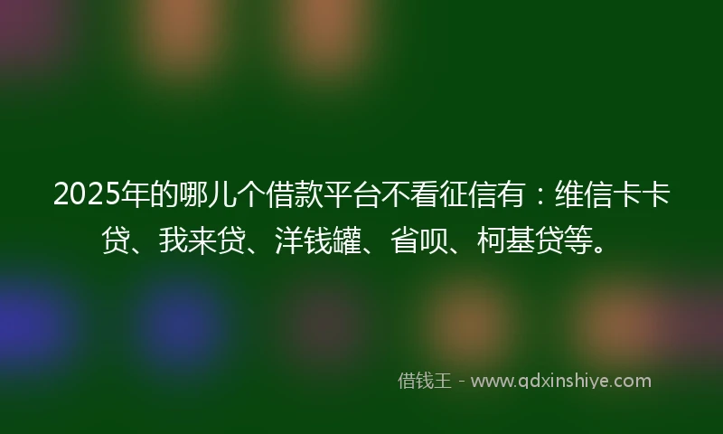 2025年的哪儿个借款平台不看征信有：维信卡卡贷、我来贷、洋钱罐、省呗、柯基贷等。