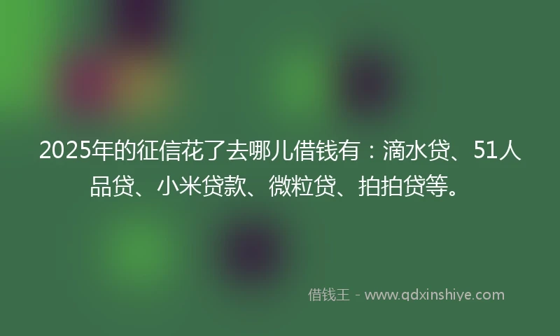 2025年的征信花了去哪儿借钱有：滴水贷、51人品贷、小米贷款、微粒贷、拍拍贷等。