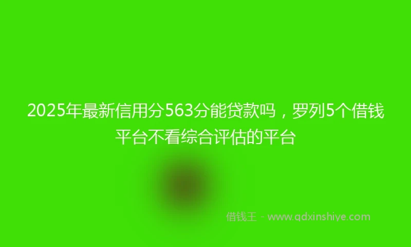 2025年最新信用分563分能贷款吗，罗列5个借钱平台不看综合评估的平台