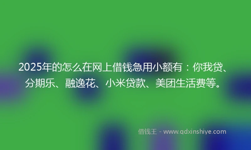 2025年的怎么在网上借钱急用小额有：你我贷、分期乐、融逸花、小米贷款、美团生活费等。