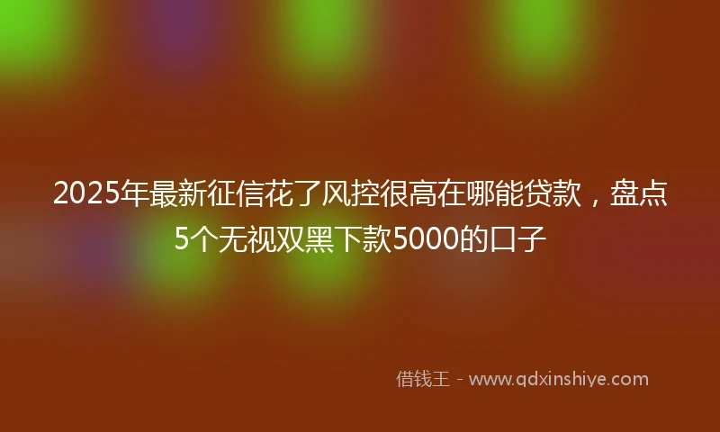 2025年最新征信花了风控很高在哪能贷款，盘点5个无视双黑下款5000的口子