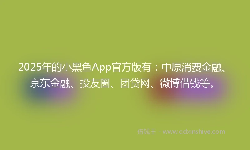 2025年的小黑鱼App官方版有：中原消费金融、京东金融、投友圈、团贷网、微博借钱等。