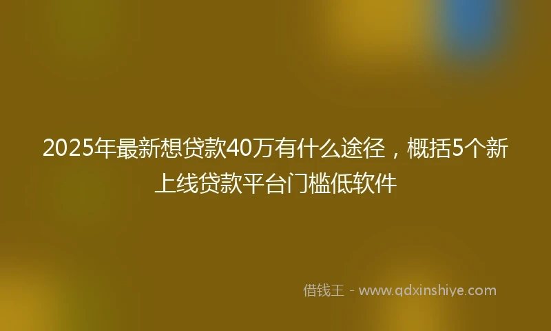 2025年最新想贷款40万有什么途径，概括5个新上线贷款平台门槛低软件