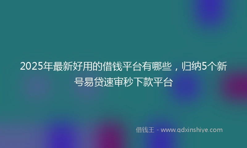 2025年最新好用的借钱平台有哪些，归纳5个新号易贷速审秒下款平台