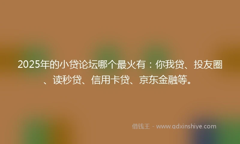 2025年的小贷论坛哪个最火有：你我贷、投友圈、读秒贷、信用卡贷、京东金融等。