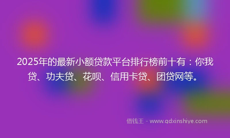 2025年的最新小额贷款平台排行榜前十有：你我贷、功夫贷、花呗、信用卡贷、团贷网等。