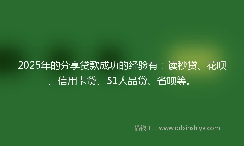 2025年的分享贷款成功的经验有：读秒贷、花呗、信用卡贷、51人品贷、省呗等。