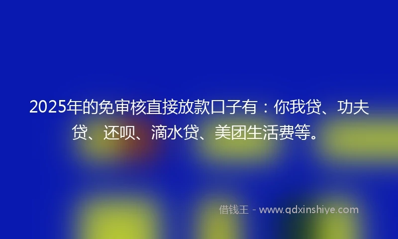 2025年的免审核直接放款口子有：你我贷、功夫贷、还呗、滴水贷、美团生活费等。