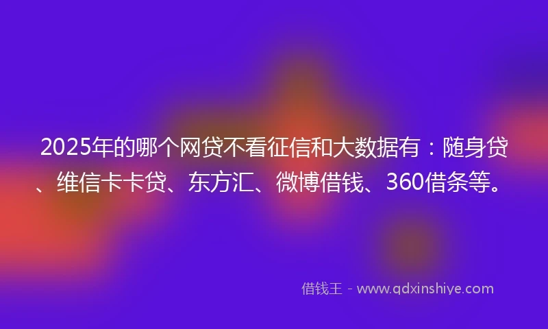 2025年的哪个网贷不看征信和大数据有：随身贷、维信卡卡贷、东方汇、微博借钱、360借条等。