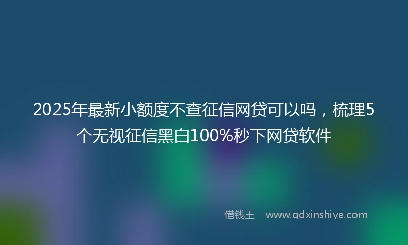 2025年最新小额度不查征信网贷可以吗，梳理5个无视征信黑白100%秒下网贷软件