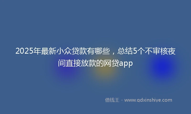 2025年最新小众贷款有哪些，总结5个不审核夜间直接放款的网贷app