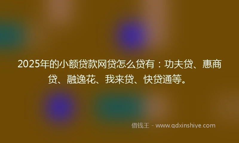 2025年的小额贷款网贷怎么贷有：功夫贷、惠商贷、融逸花、我来贷、快贷通等。