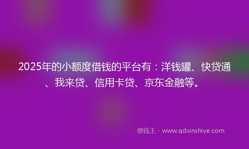 2025年的小额度借钱的平台有：洋钱罐、快贷通、我来贷、信用卡贷、京东金融等。