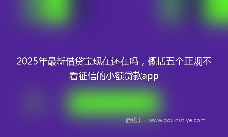 2025年最新借贷宝现在还在吗，概括五个正规不看征信的小额贷款app