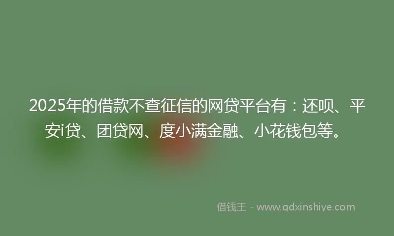 2025年的借款不查征信的网贷平台有：还呗、平安i贷、团贷网、度小满金融、小花钱包等。