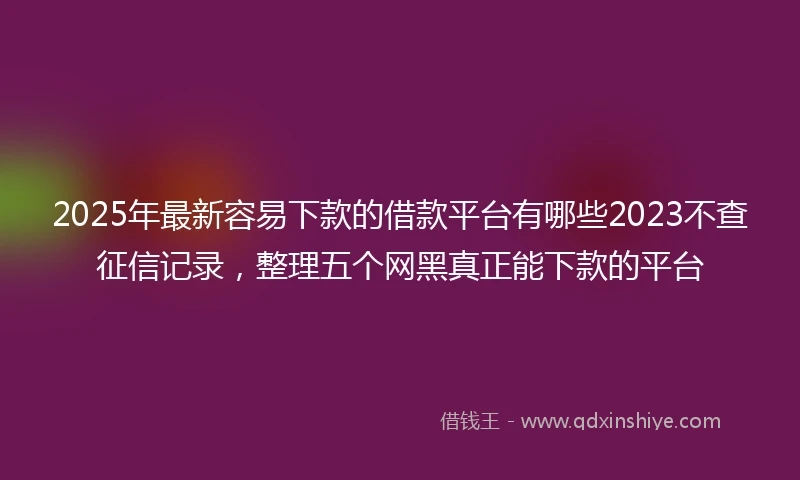 2025年最新容易下款的借款平台有哪些2023不查征信记录，整理五个网黑真正能下款的平台