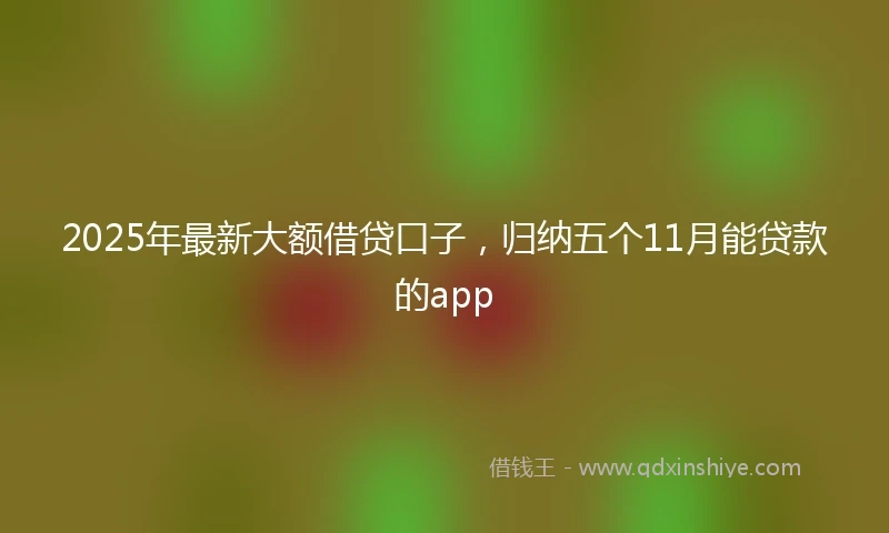2025年最新大额借贷口子，归纳五个11月能贷款的app