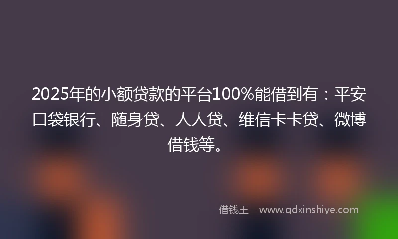 2025年的小额贷款的平台100%能借到有：平安口袋银行、随身贷、人人贷、维信卡卡贷、微博借钱等。