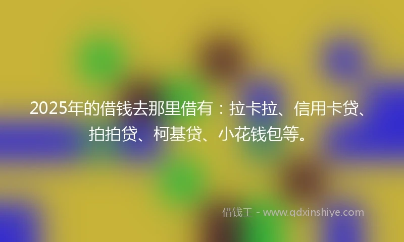 2025年的借钱去那里借有：拉卡拉、信用卡贷、拍拍贷、柯基贷、小花钱包等。