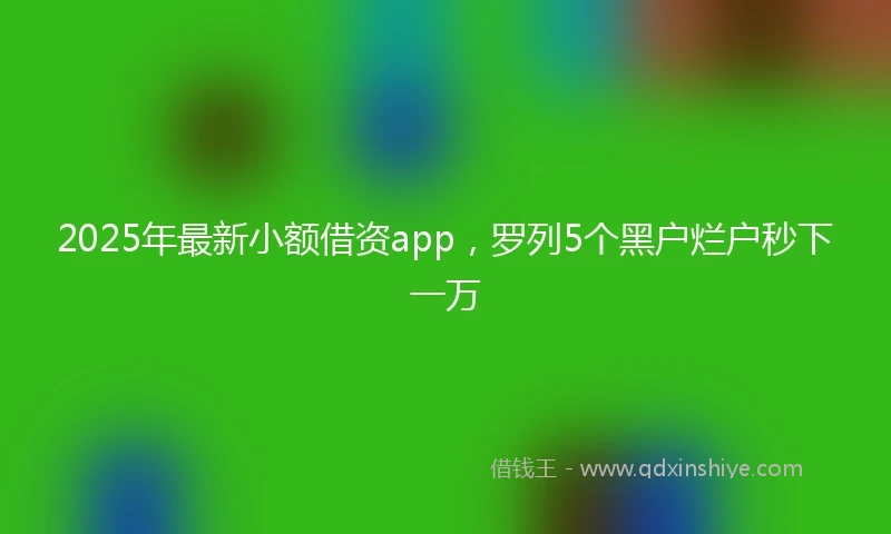 2025年最新小额借资app，罗列5个黑户烂户秒下一万