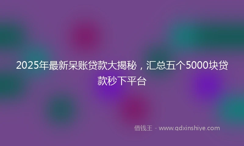 2025年最新呆账贷款大揭秘，汇总五个5000块贷款秒下平台