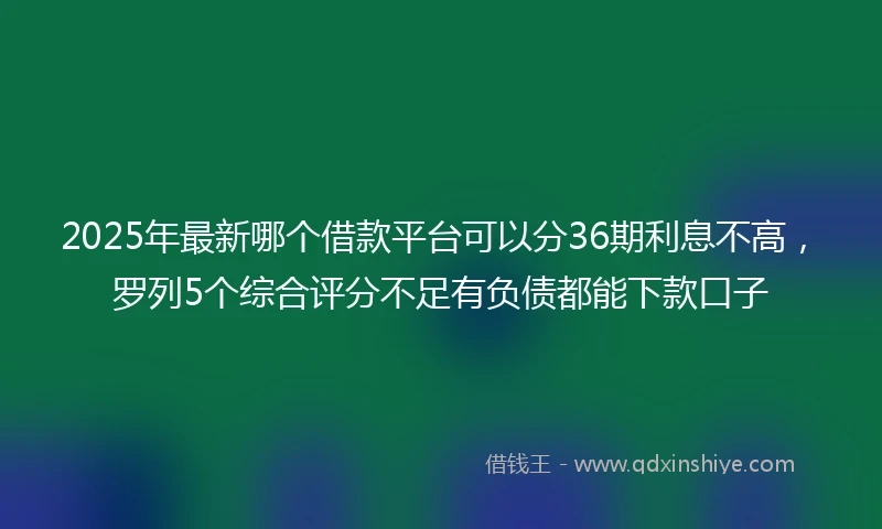 2025年最新哪个借款平台可以分36期利息不高，罗列5个综合评分不足有负债都能下款口子