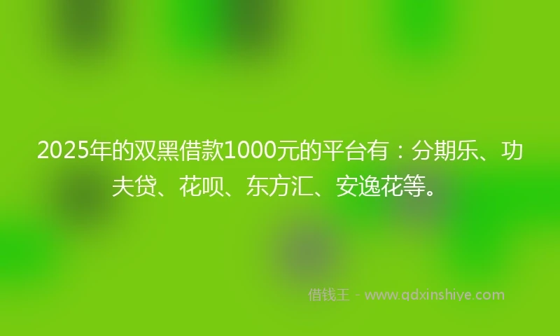 2025年的双黑借款1000元的平台有：分期乐、功夫贷、花呗、东方汇、安逸花等。