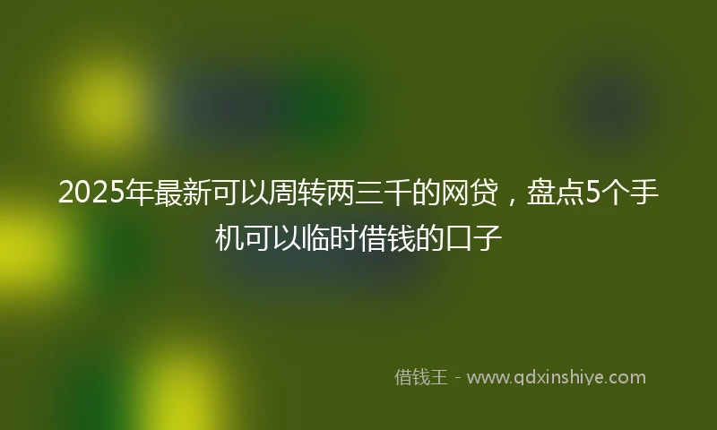 2025年最新可以周转两三千的网贷，盘点5个手机可以临时借钱的口子
