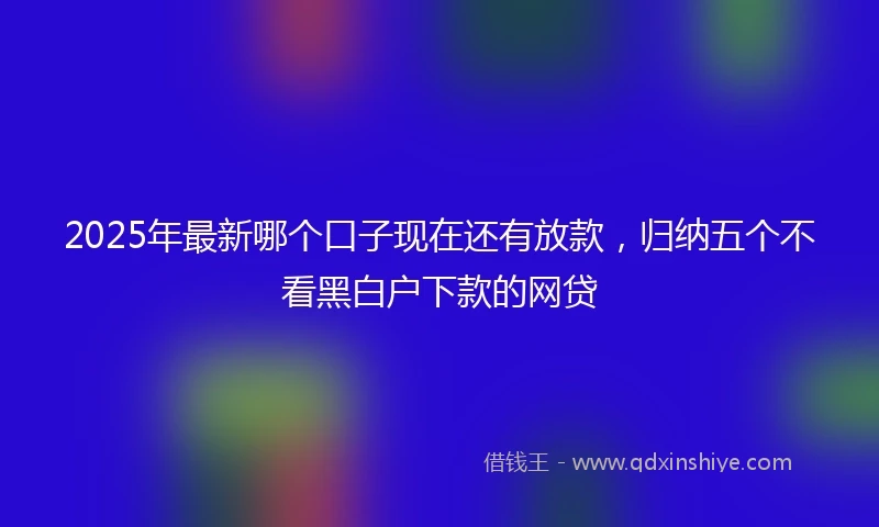2025年最新哪个口子现在还有放款，归纳五个不看黑白户下款的网贷