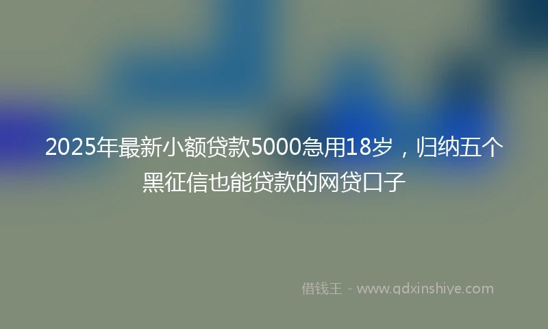 2025年最新小额贷款5000急用18岁，归纳五个黑征信也能贷款的网贷口子