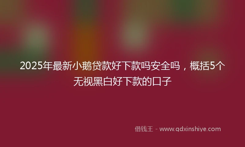 2025年最新小鹅贷款好下款吗安全吗，概括5个无视黑白好下款的口子