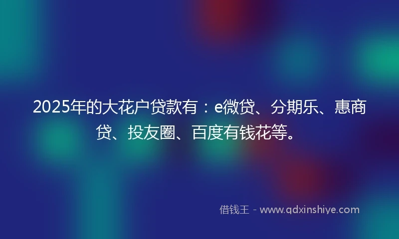 2025年的大花户贷款有：e微贷、分期乐、惠商贷、投友圈、百度有钱花等。