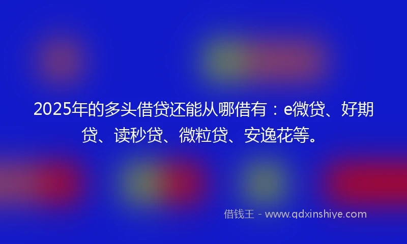 2025年的多头借贷还能从哪借有：e微贷、好期贷、读秒贷、微粒贷、安逸花等。