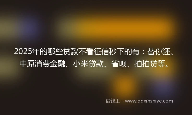 2025年的哪些贷款不看征信秒下的有：替你还、中原消费金融、小米贷款、省呗、拍拍贷等。