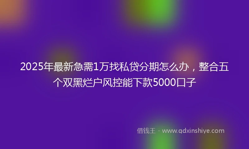 2025年最新急需1万找私贷分期怎么办，整合五个双黑烂户风控能下款5000口子