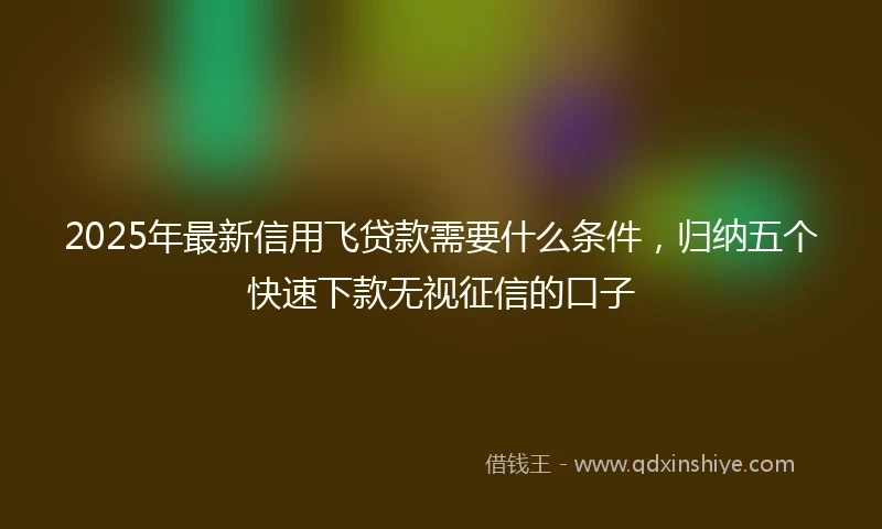 2025年最新信用飞贷款需要什么条件，归纳五个快速下款无视征信的口子
