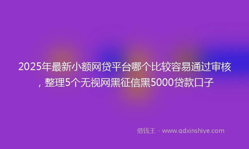 2025年最新小额网贷平台哪个比较容易通过审核，整理5个无视网黑征信黑5000贷款口子