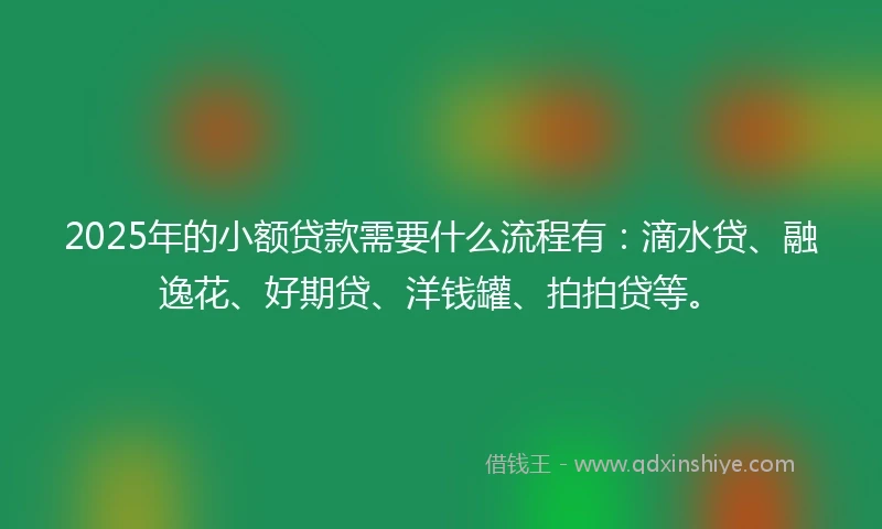 2025年的小额贷款需要什么流程有：滴水贷、融逸花、好期贷、洋钱罐、拍拍贷等。