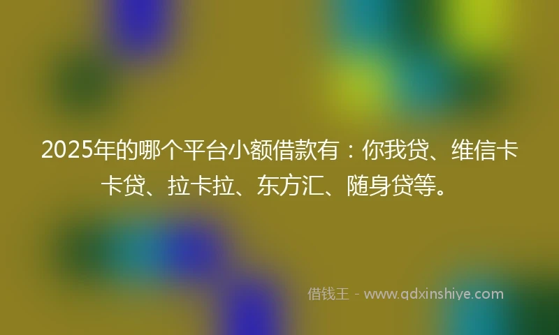 2025年的哪个平台小额借款有：你我贷、维信卡卡贷、拉卡拉、东方汇、随身贷等。