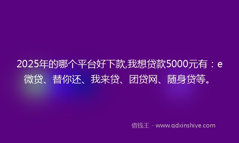 2025年的哪个平台好下款,我想贷款5000元有：e微贷、替你还、我来贷、团贷网、随身贷等。