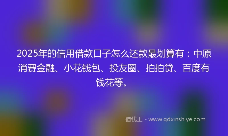2025年的信用借款口子怎么还款最划算有：中原消费金融、小花钱包、投友圈、拍拍贷、百度有钱花等。