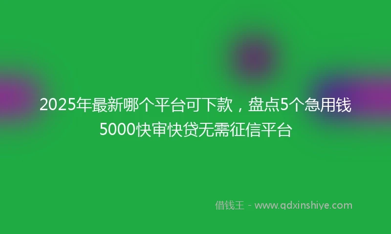 2025年最新哪个平台可下款，盘点5个急用钱5000快审快贷无需征信平台